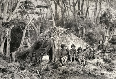 The Fuegians and their wigwams, from 